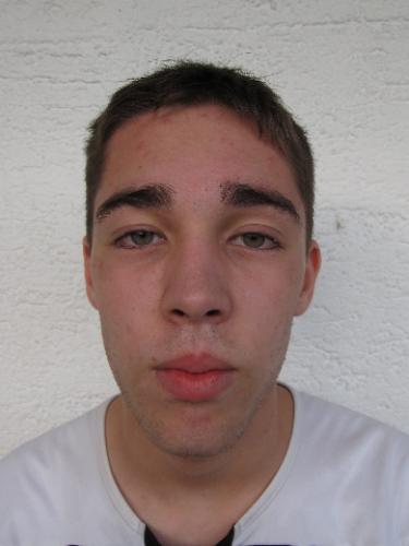 Michael Sedlmair