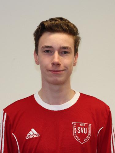 Fabian Ried