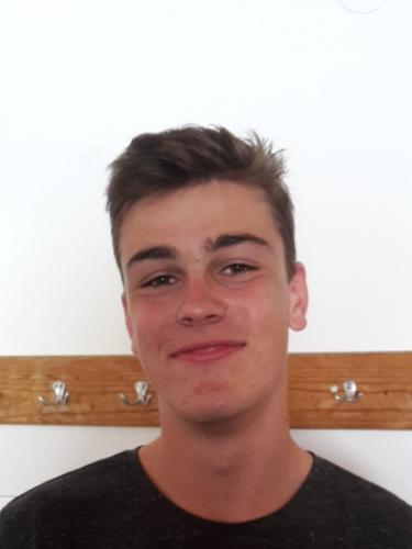 Vincent Wahl