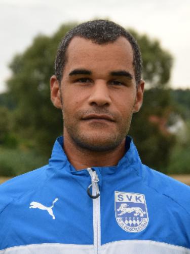 Denis Will