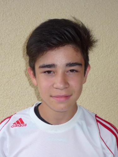 Johanes Steinepreis