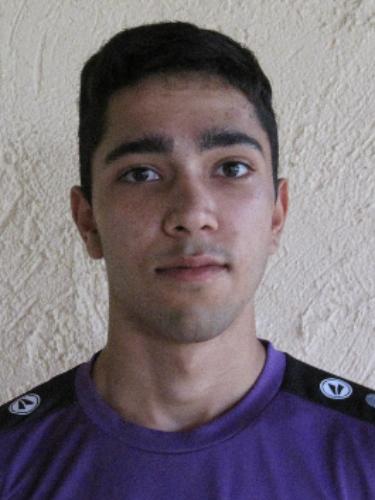 Aria Hamidi