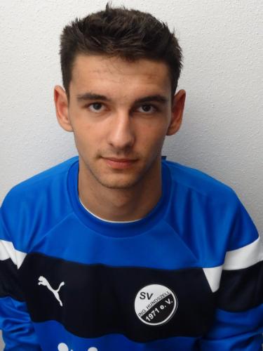 Paul Mircea