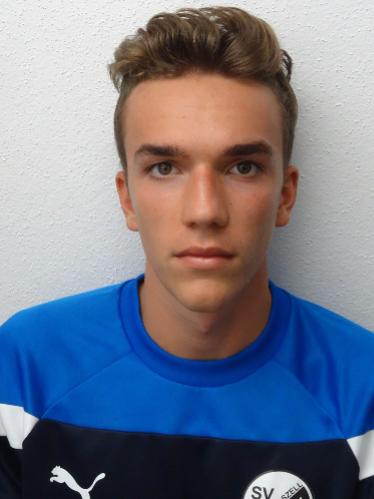 Dominik Metzler