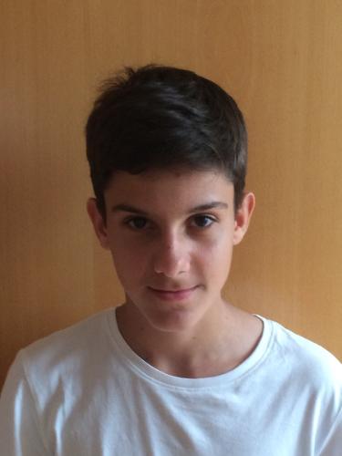 Stipe Ravlic