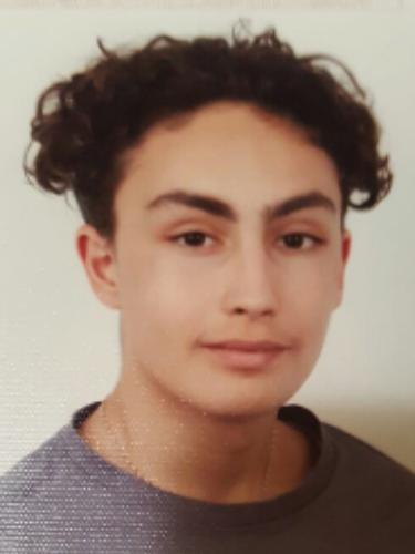 Domenico Raimo