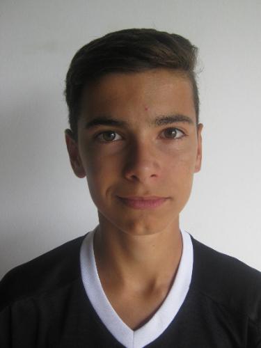 Nico Sigrüner