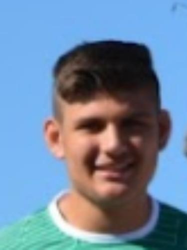 Altin Pestisha