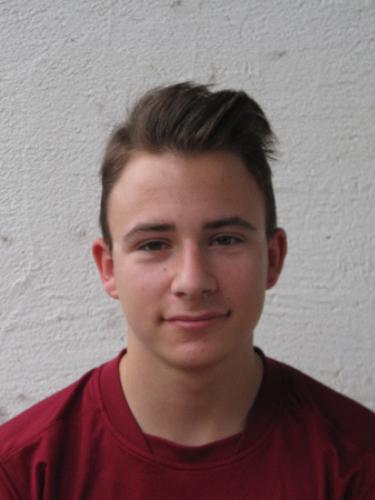 Timo Blickhan
