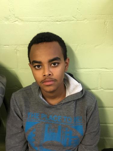 Avatar Bild für Amanuel Hedremariam