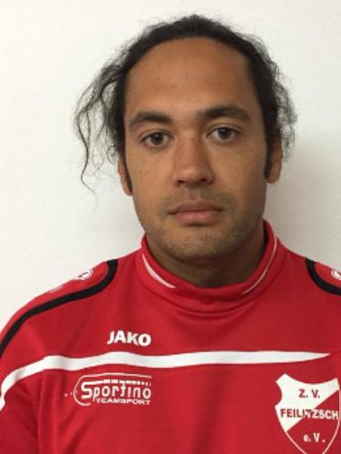 Timo Stephen