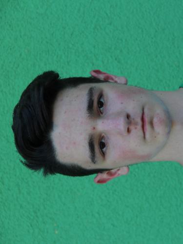 Berin Sehovic