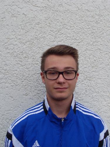 Niklas Voll
