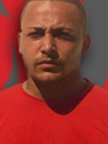 Pala Melik
