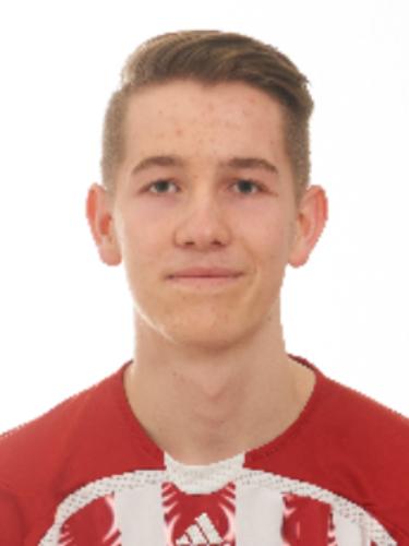 Roman Willberger