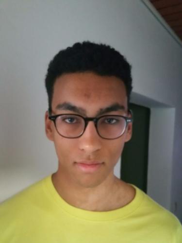 Raphael Hooks