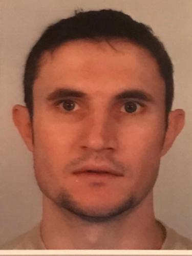 Ivica Anic