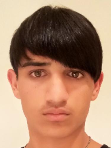 Faez Jamshidi