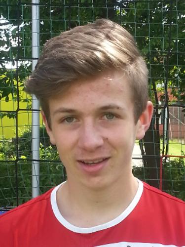Marco Hohenester