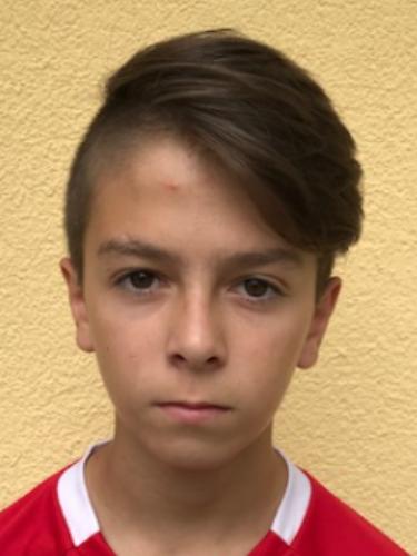 Niko Drahtschmid