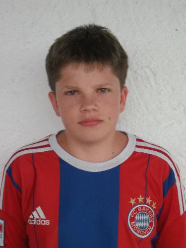 Dominik Voit