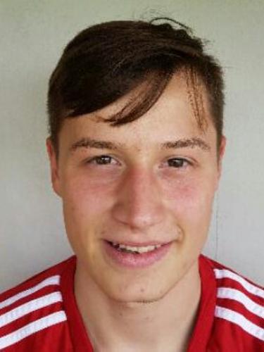 Ingo Kreil