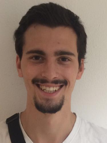 Flavio Agostini