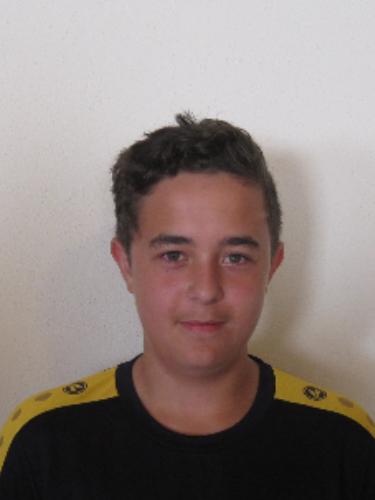 Dominik Gollwitzer