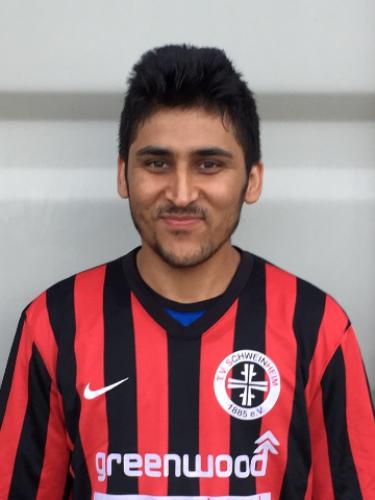 Sayed Mohammad Hosseini