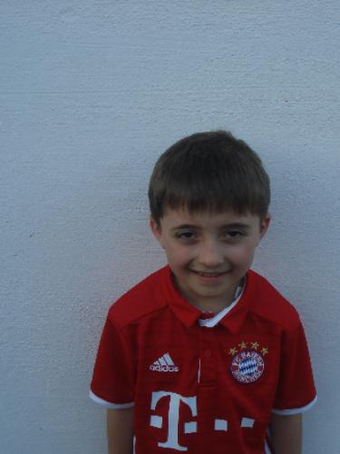 Niko Landauer
