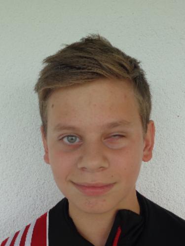 Louis Heigl