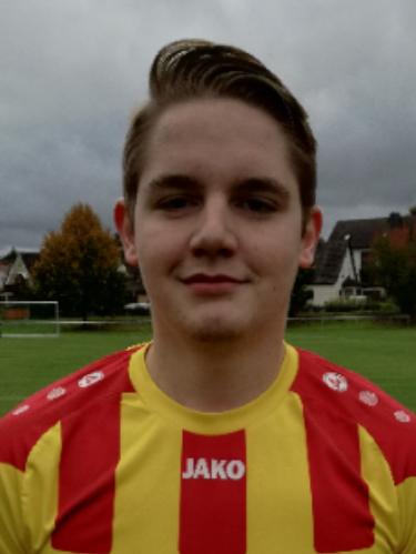 Dominik Stark