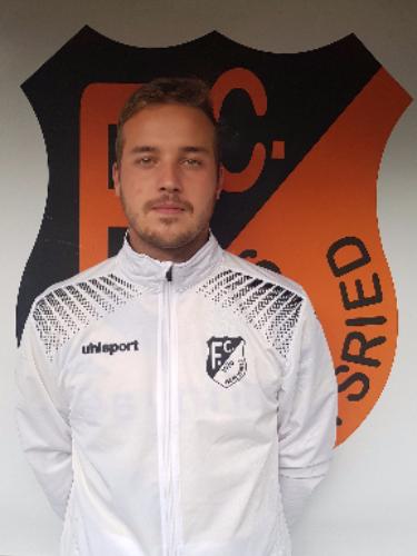 Dominik Bingold
