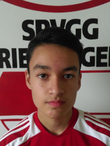 Youri van Gent
