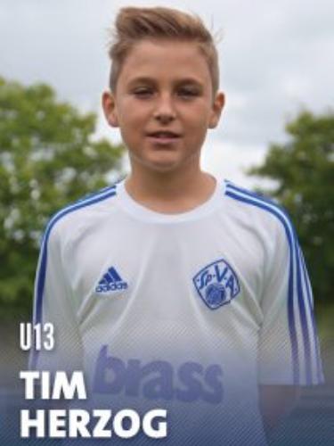 Avatar Bild für Tim Herzog