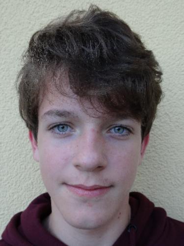 Nico Handschuh
