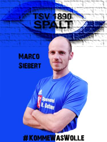 Marco Siebert