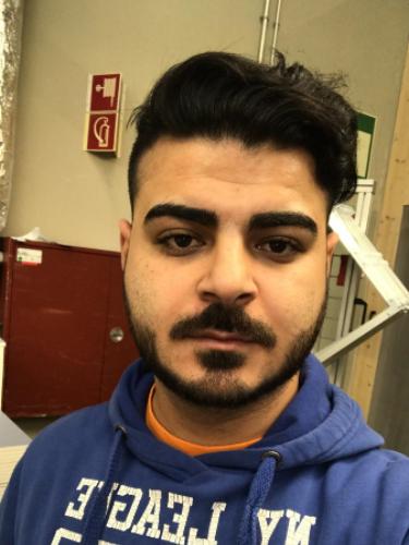 Ramin Pajuhesh