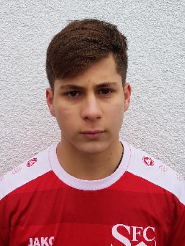 Vasilije Ocokoljic