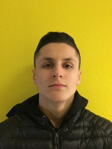 Altin Ratkoceri