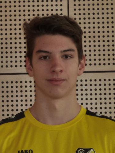 Denis Werner