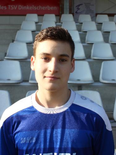 Dominik Paulini