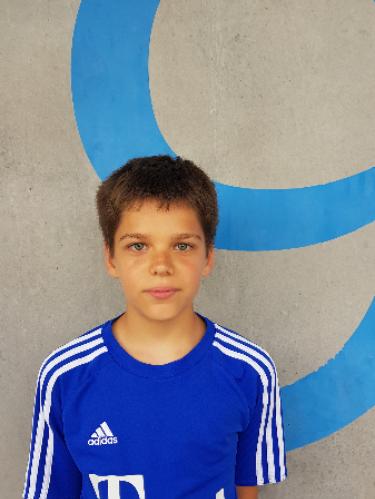 Nikola Krajnovic
