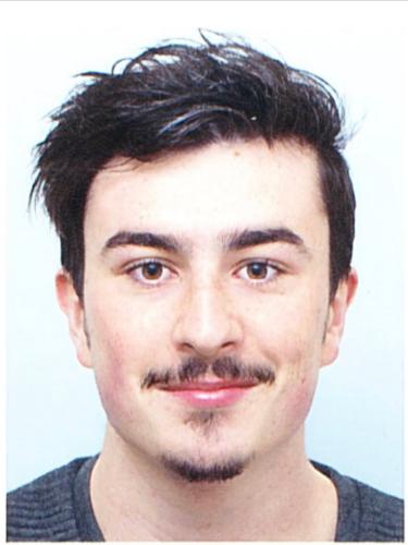 Max von Kalckreuth