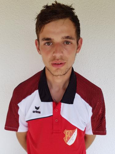 Dennis Mayer
