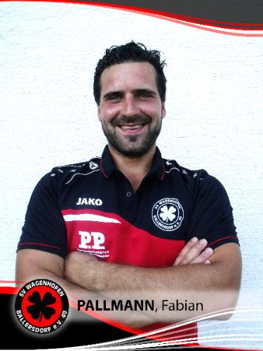 Fabian Pallmann