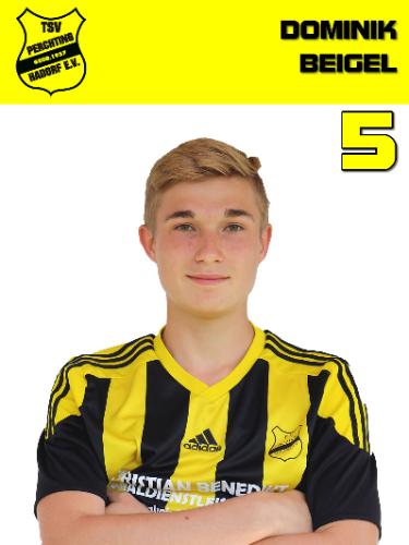 Dominik Beigel