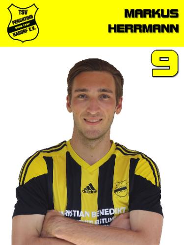 Markus Herrmann