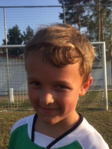 Avatar Bild für Collin Herold