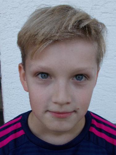David Hohnstein